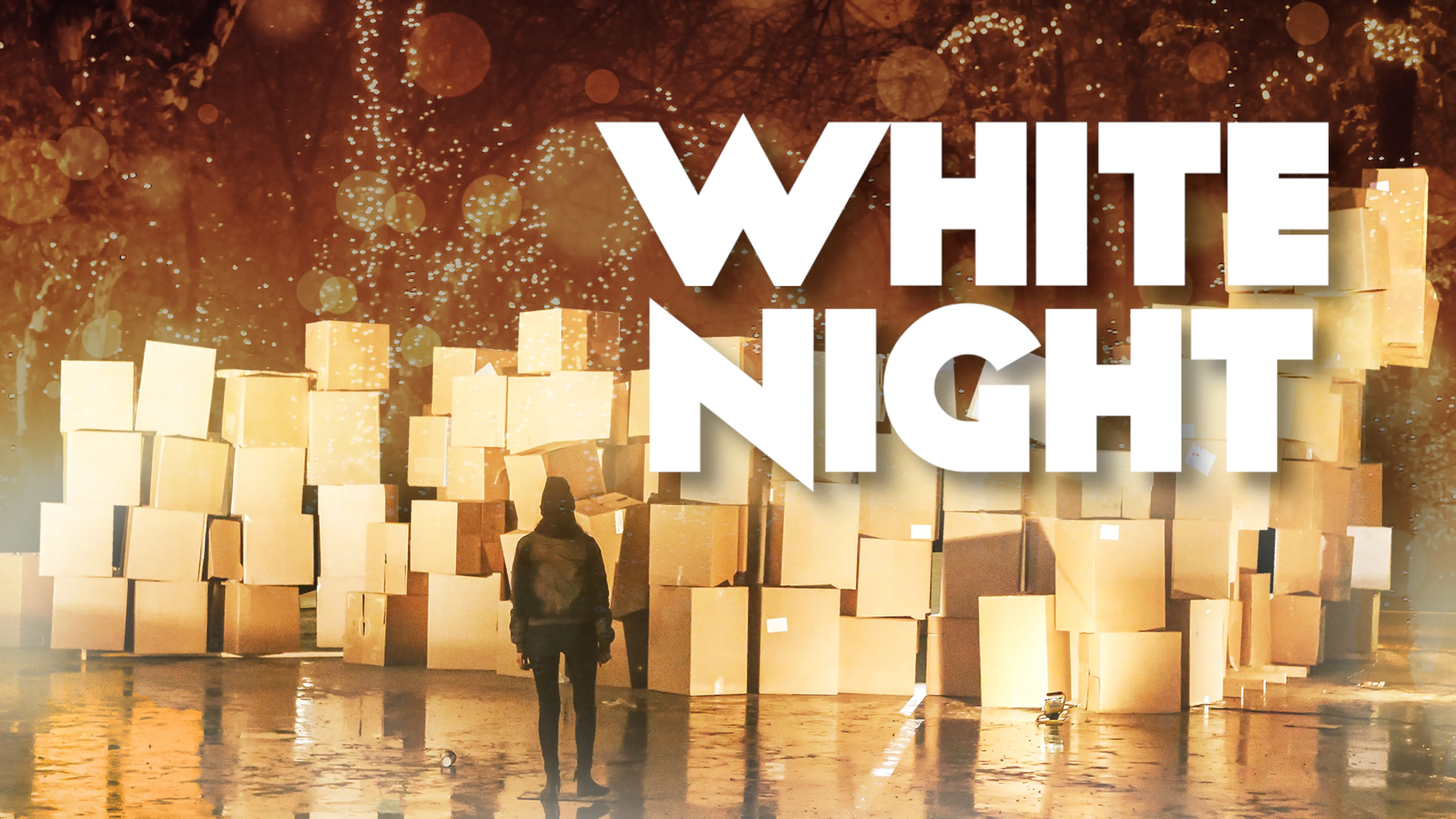 White Night poster